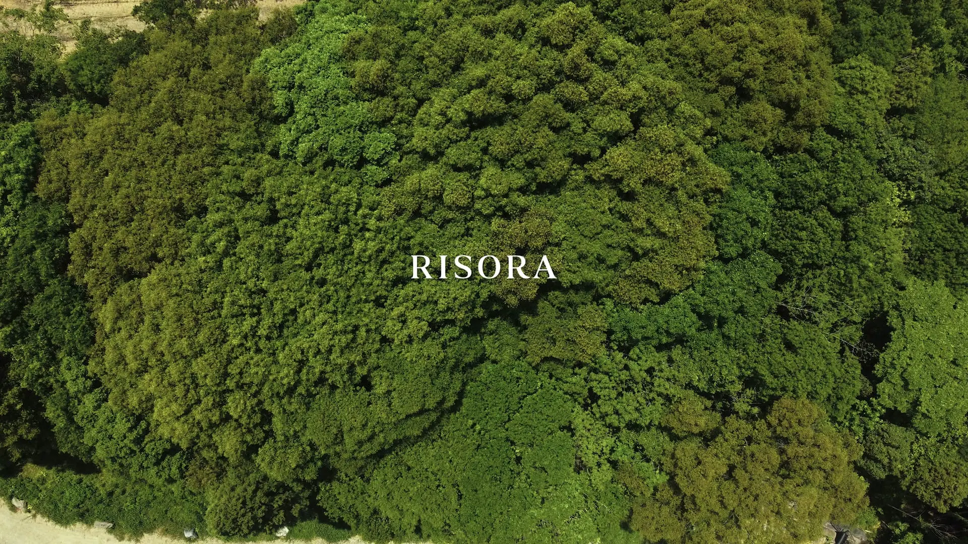 RISORAのインスタグラムの写真1